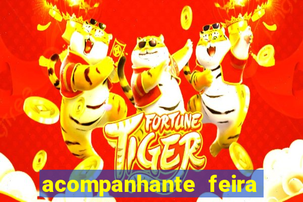 acompanhante feira de santana